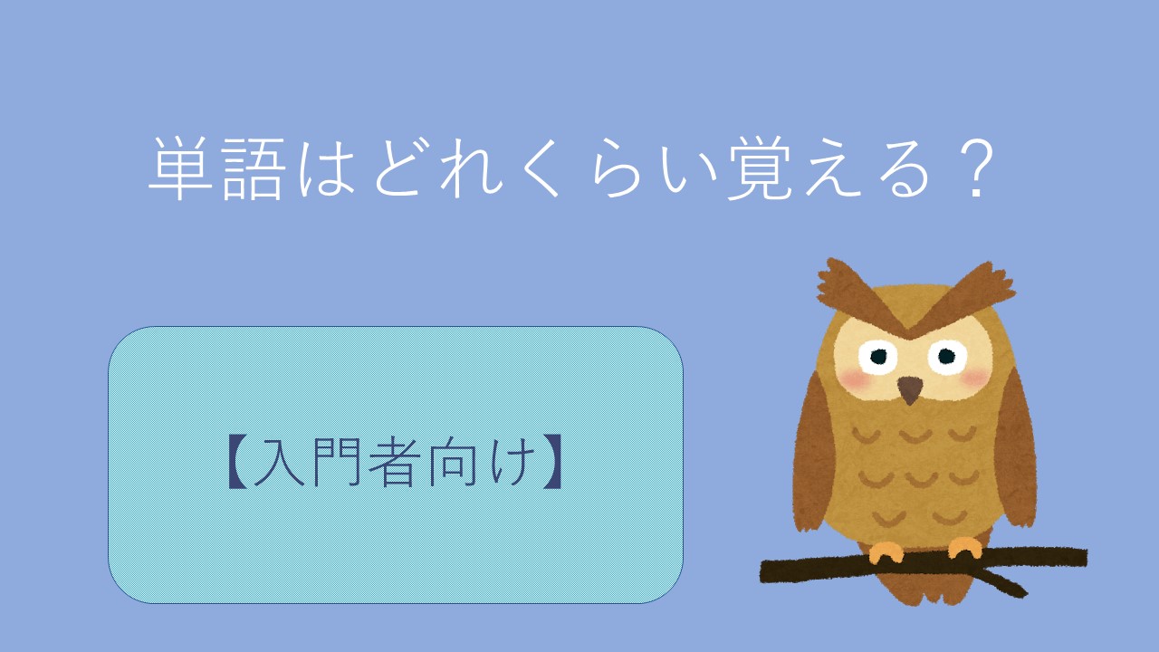 中国語の単語はどれくらい覚えればいいのか 入門者向け 中国語研究所